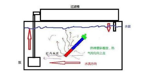 香港2024最新饮料大全