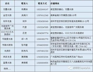 香港2024最新饮料大全